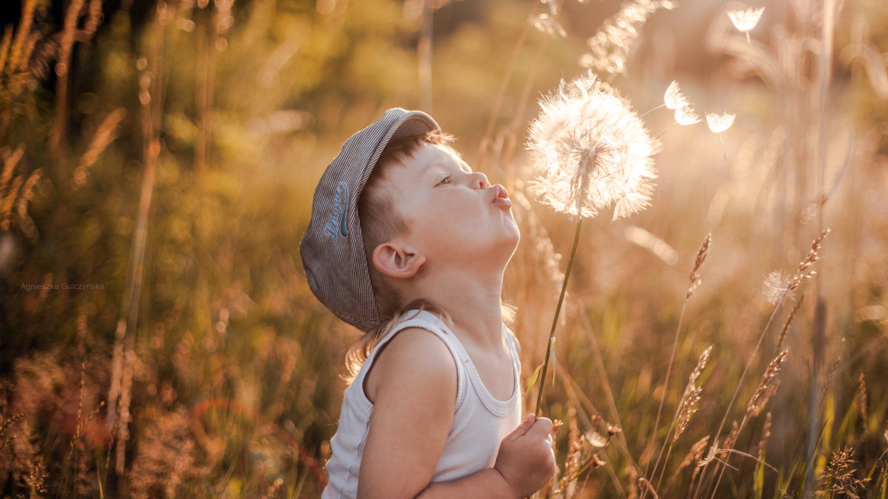 Мальчик с большим одуванчиком в руке
