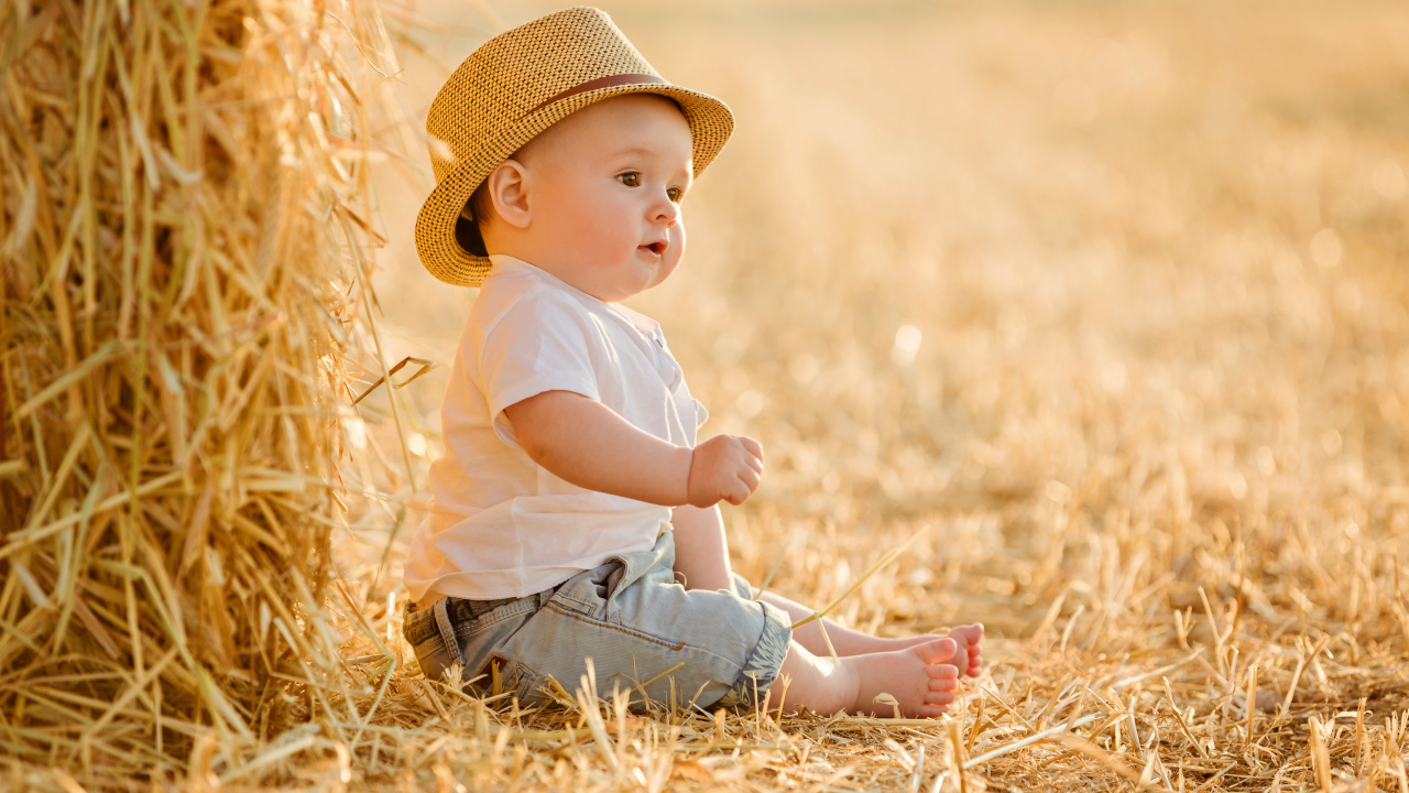 Маленький мальчик сидит на сене