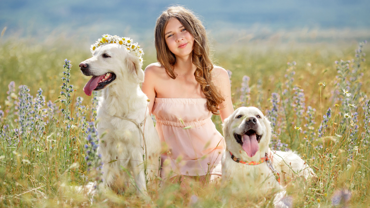 Красивая девочка с собаками в поле