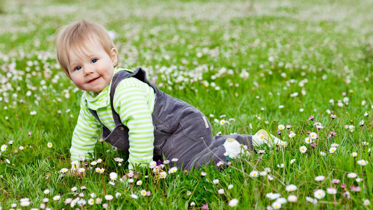 Маленький веселый мальчик на поляне с белыми цветами