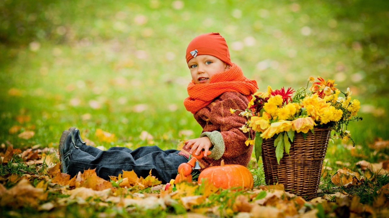 Маленькая девочка сидит на траве с корзиной цветов осенью