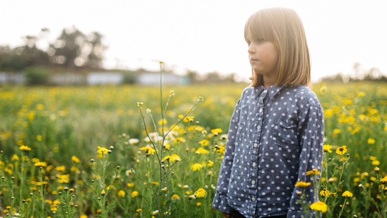 Маленькая девочка на поле с желтыми полевыми цветами