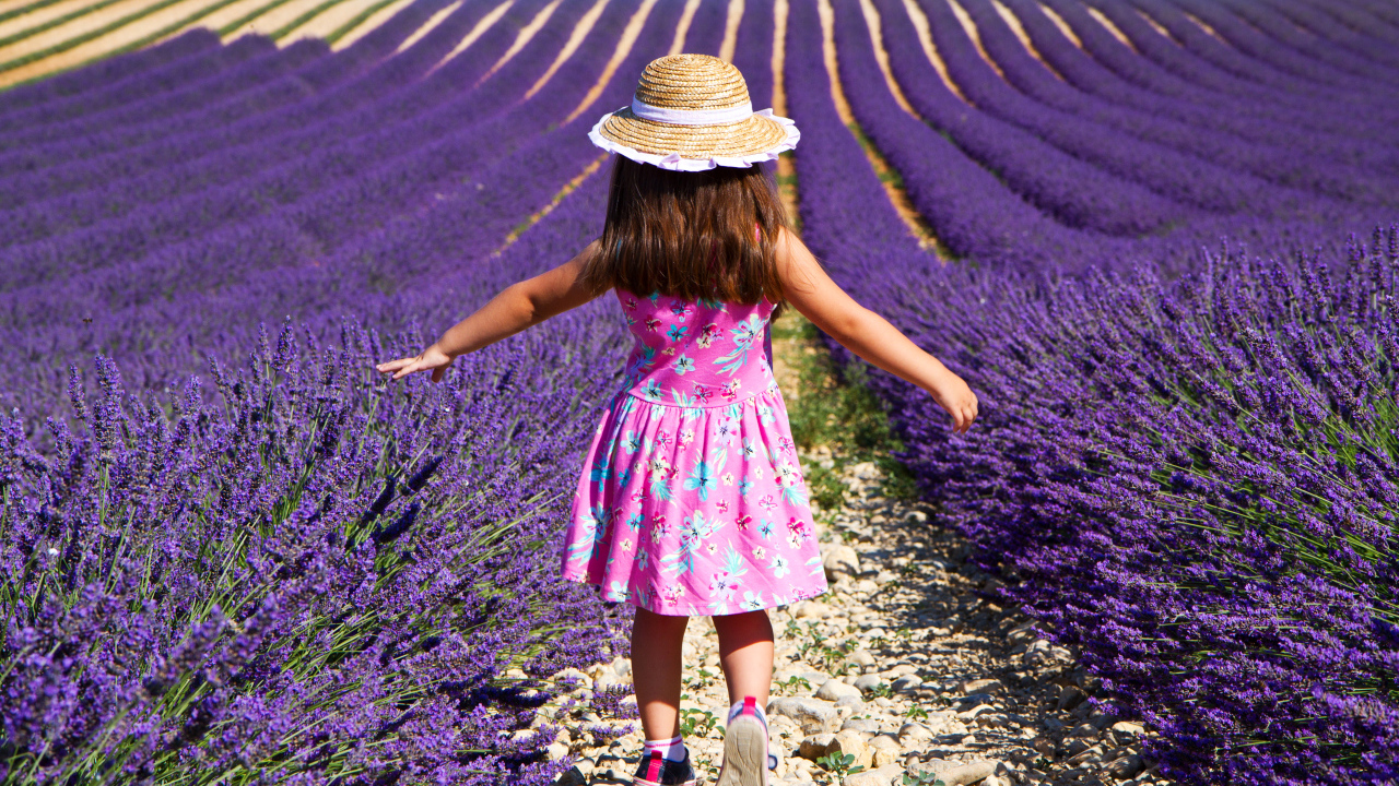 Маленькая девочка гуляет по полю с лавандой