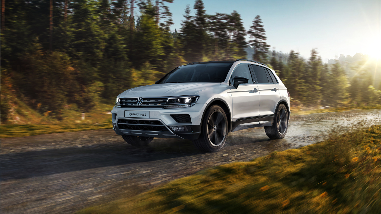 Серебристый внедорожник Volkswagen Tiguan на фоне леса 