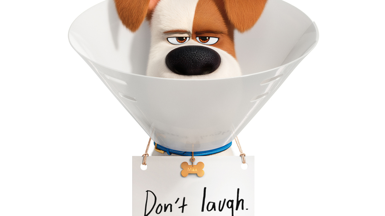 Джек-рассел-терьер Макс из мультфильма Тайная жизнь домашних животных 2