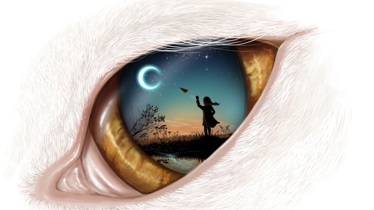 Фантастический глаз с рисунком 