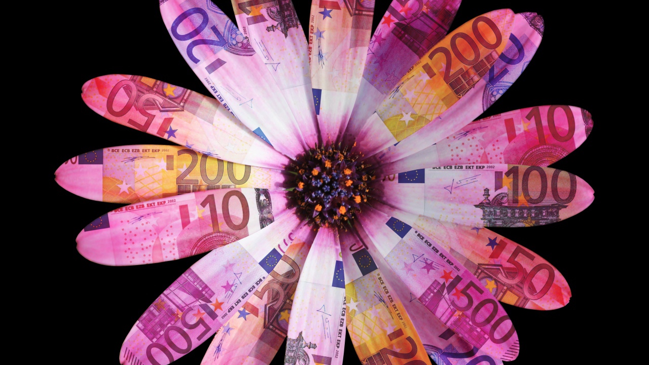 Цветок из купюр евро на черном фоне