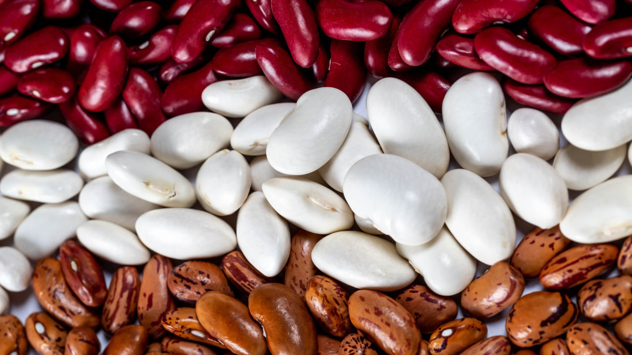 Много разноцветной фасоли крупным планом