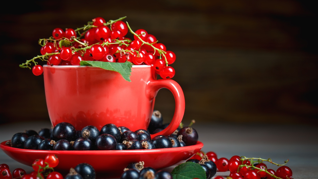Красная смородина в чашке на блюдце с черной смородиной