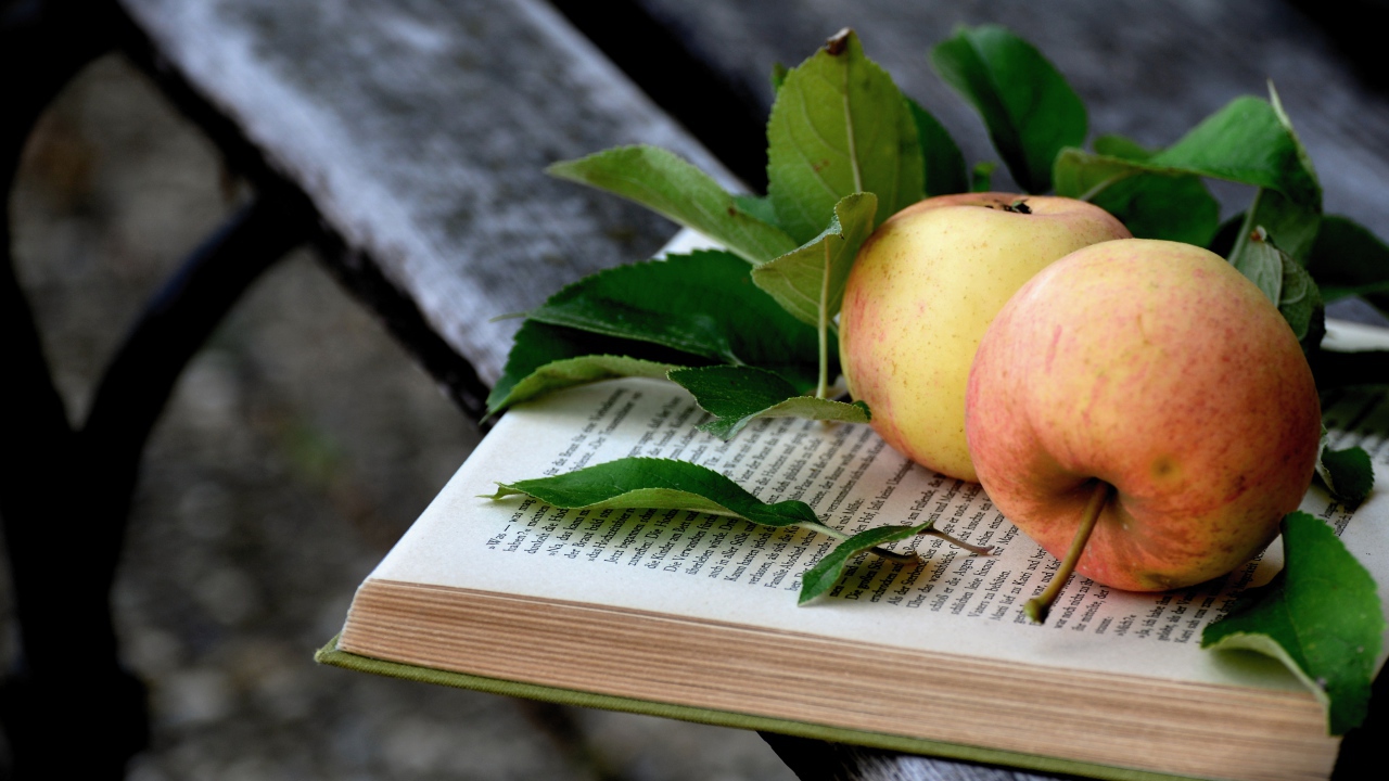 Два яблока лежат на книге на деревянной лавке
