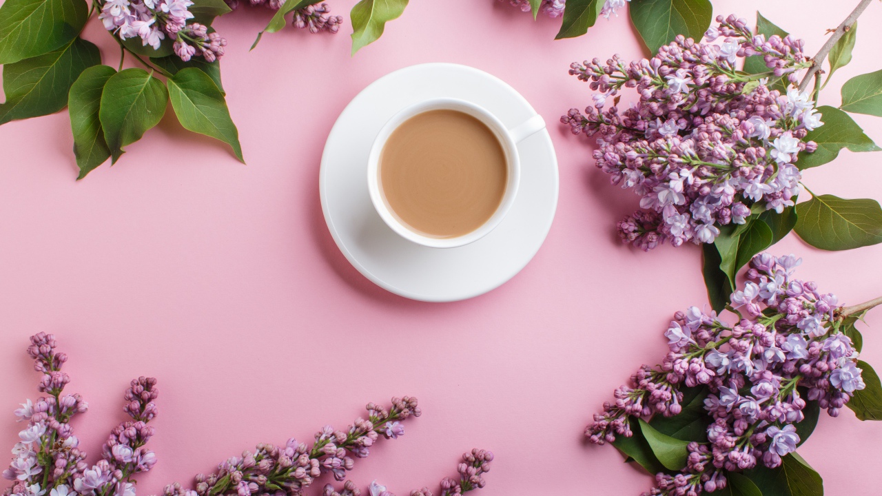 Белая чашка с какао на розовом фоне с цветами сирени