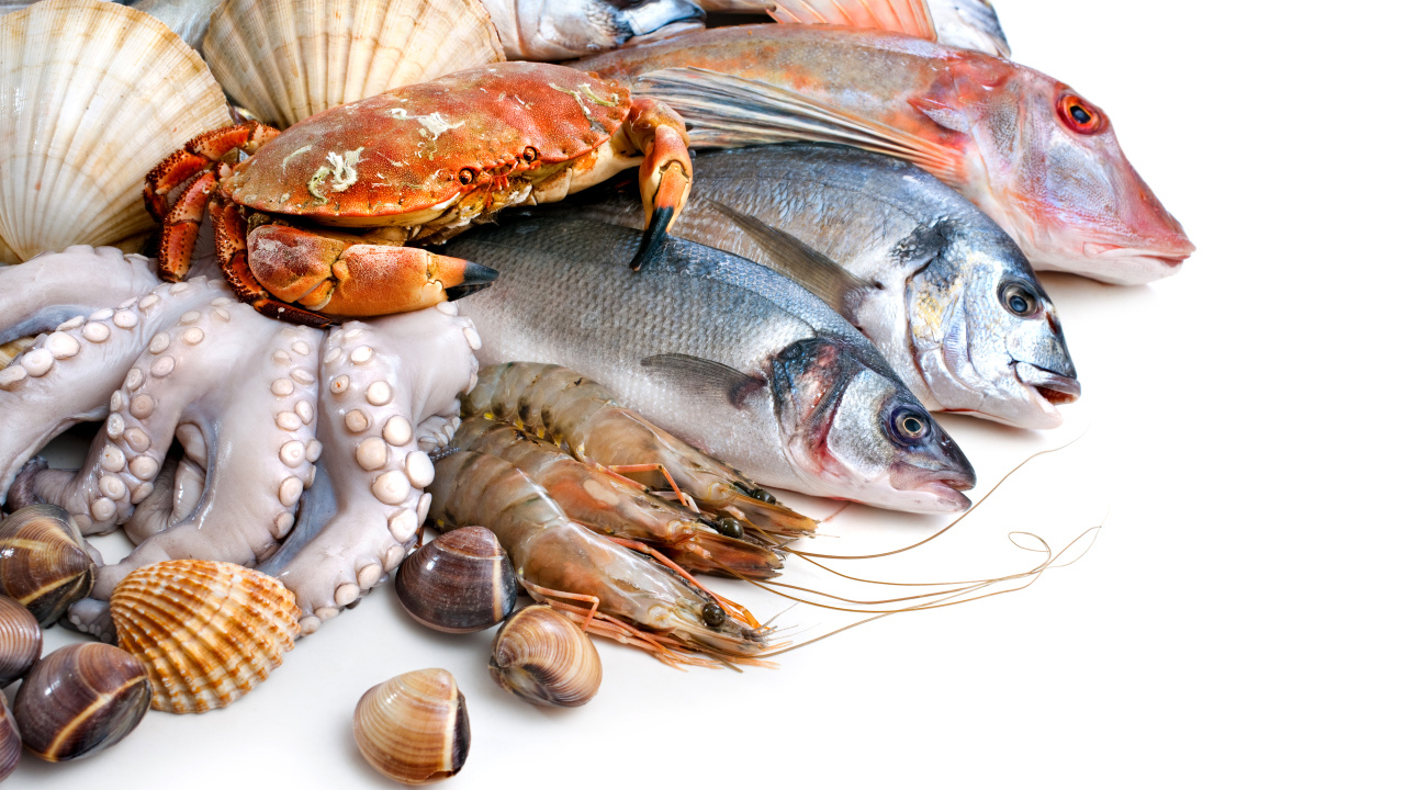 Много различных морепродуктов на белом фоне