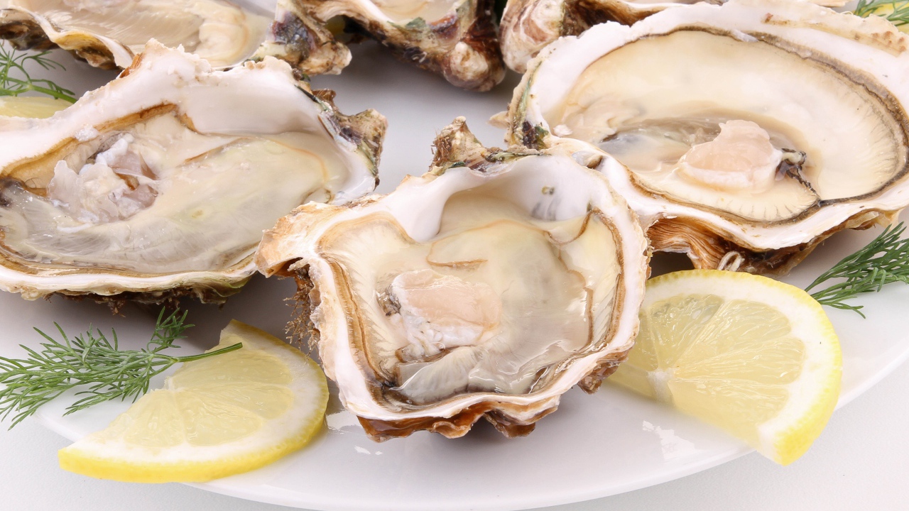 Устрицы с лимоном и укропом на белой тарелке