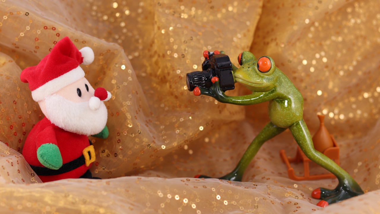 Зеленая жаба фотографирует Деда Мороза