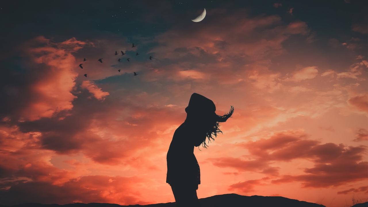 Silhouette of a girl on a sky background