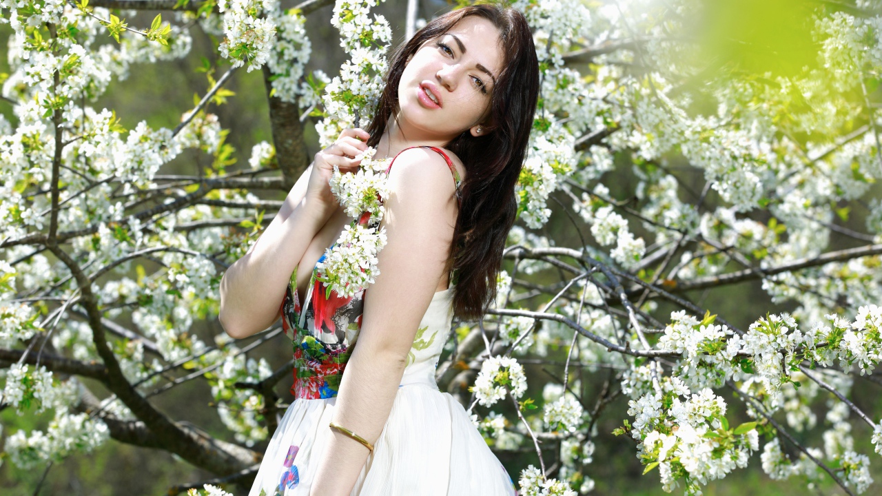 Длинноволосая девушка стоит у цветущей вишни 