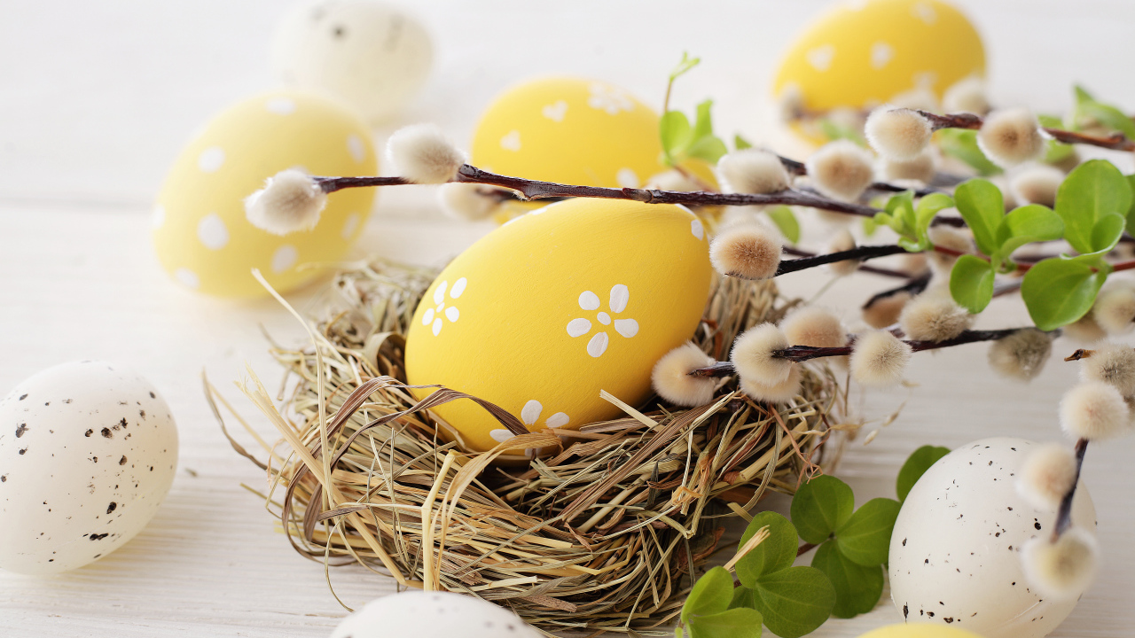 Ветка вербы с крашеными яйцами к празднику Пасха