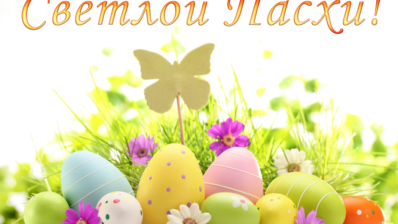 Открытка Светлой Пасхи с крашеными яйцами