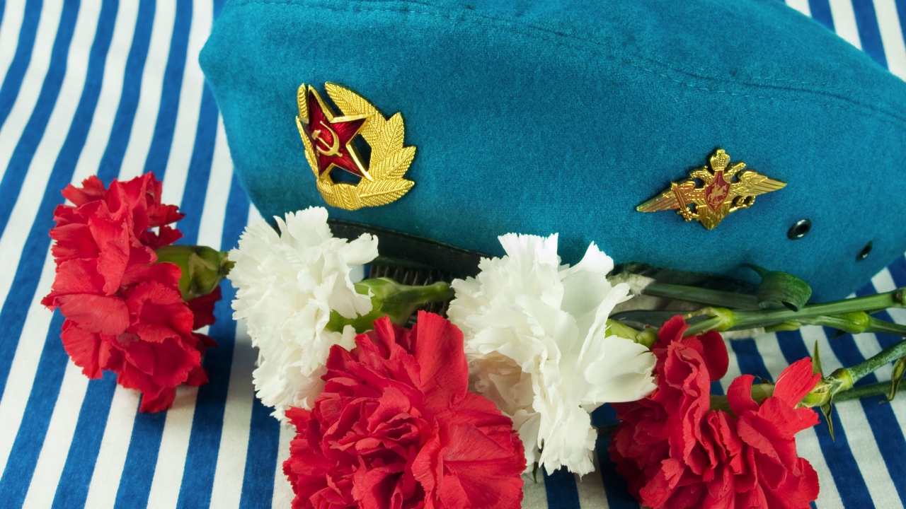 Букет гвоздик, берет ВДВ и тельняшка на 9 мая 