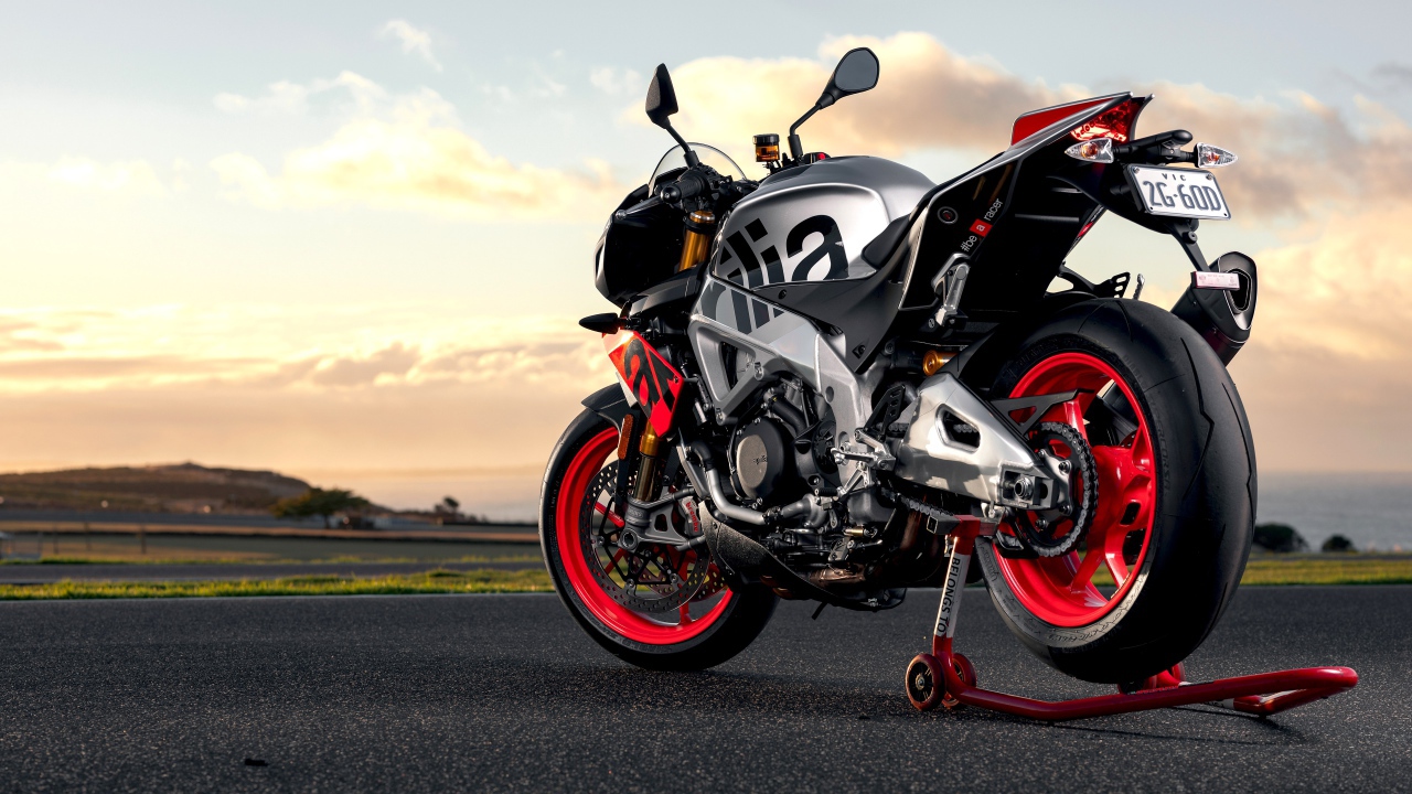 Мотоцикл Aprilia Tuono V4 1100 Factory 2019 года вид сзади