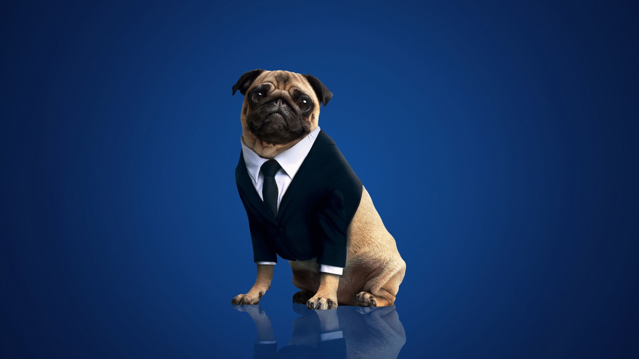 Фрэнк персонаж фильма Люди в чёрном: Интернэшнл, 2019