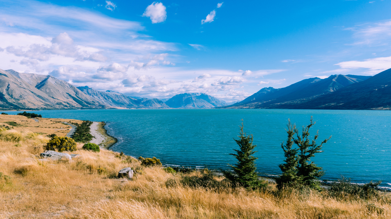 Сухая трава на берегу озера под голубым небом у гор 