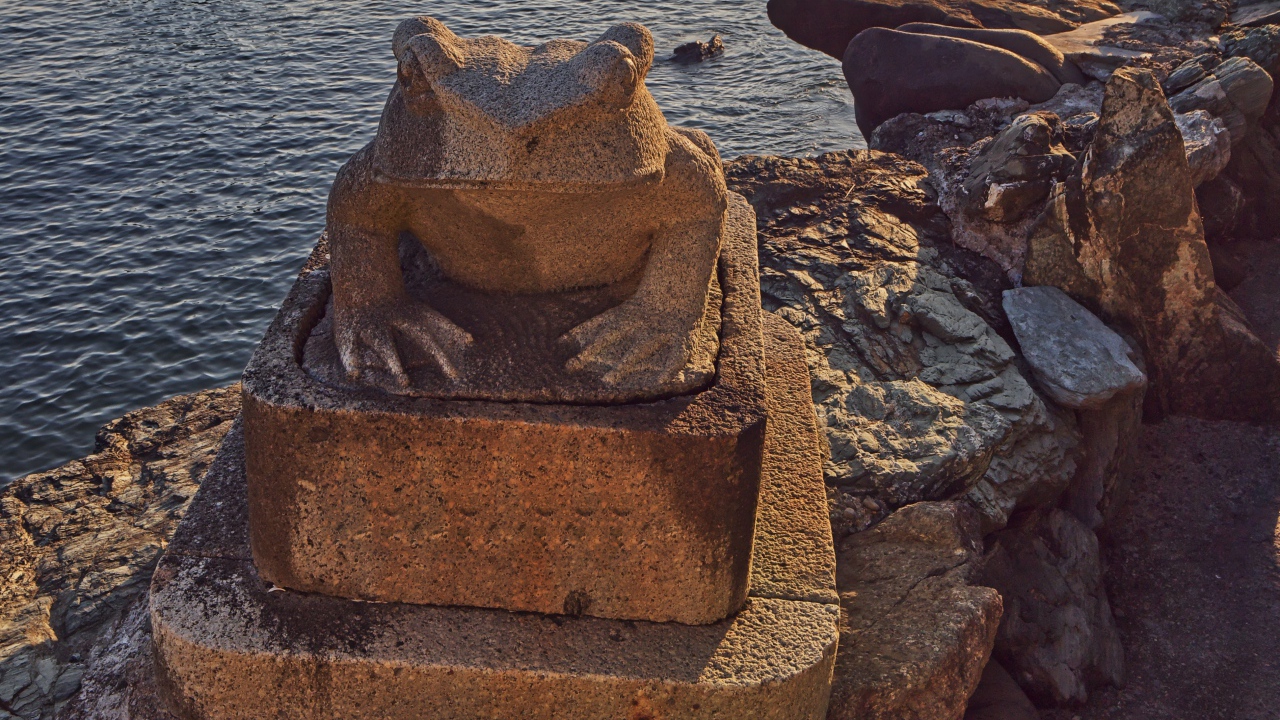 Каменная жаба на морском берегу