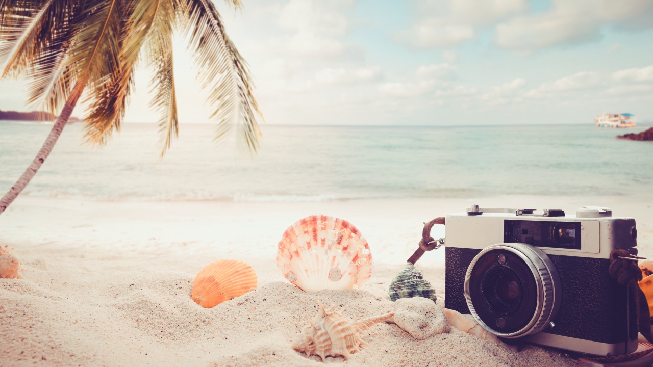 Фотоаппарат на пляже с ракушками у моря