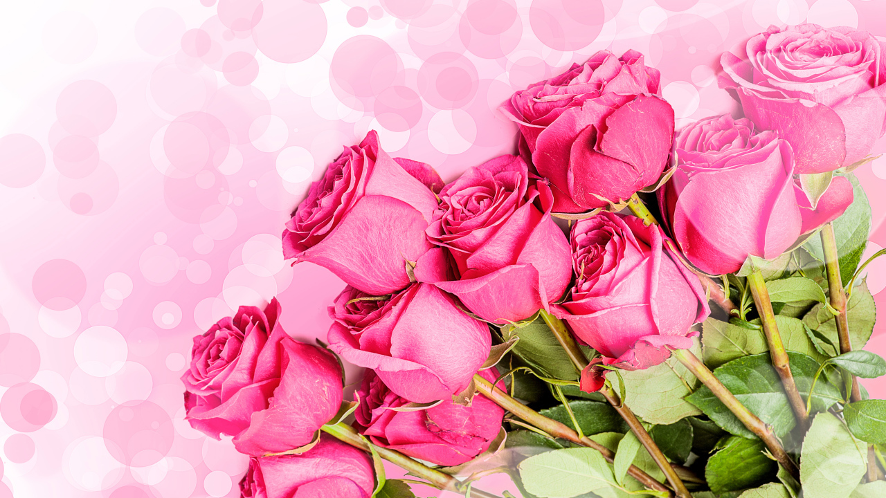 Букет розовых роз на фоне с розовыми кругами 