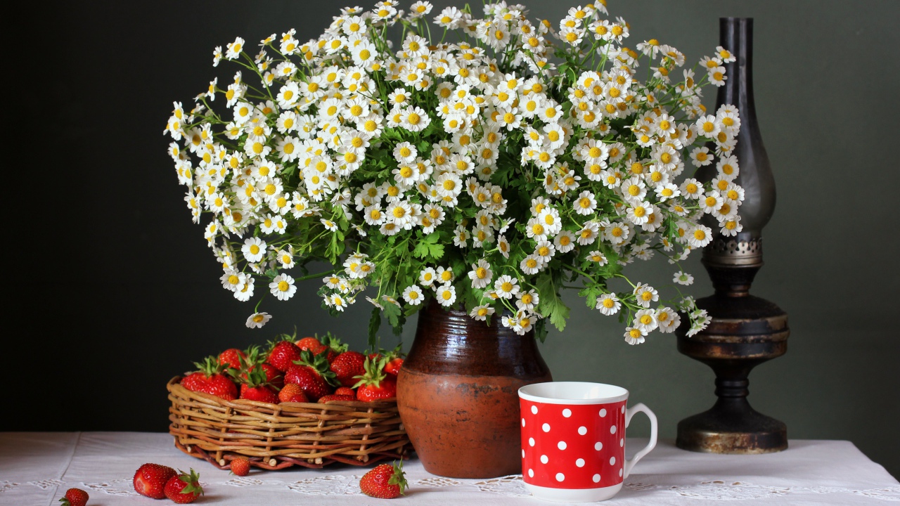 Большой букет ромашек на столе с клубникой
