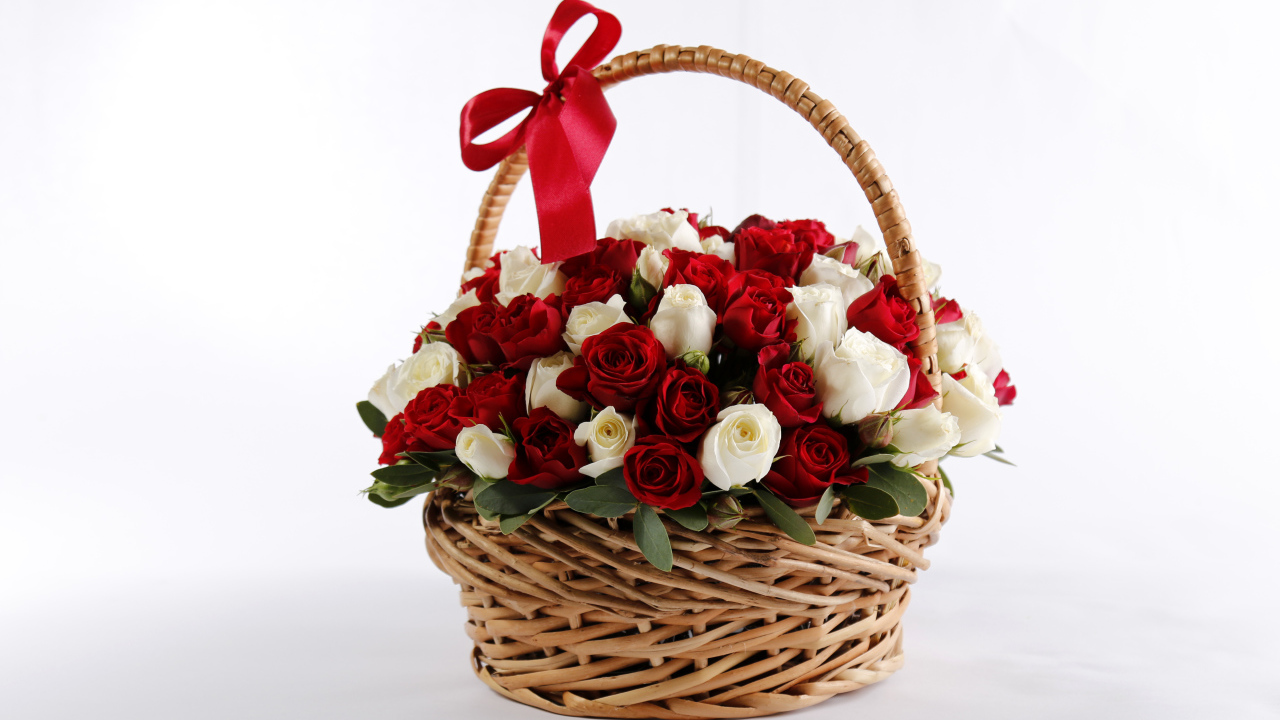 Большой букет роз в корзине в красным бантом на белом фоне