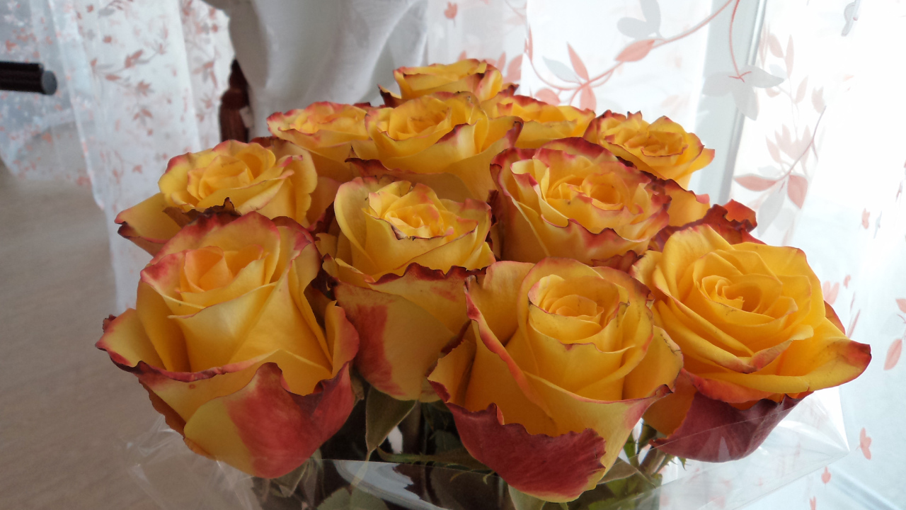 Красивый букет желтых роз в вазе у окна