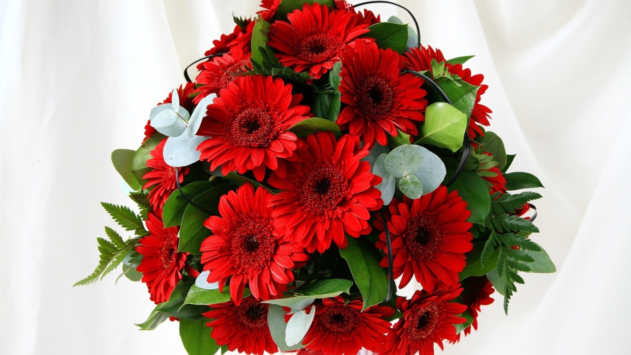 Красивый букет с красными герберами и зелеными листьями 