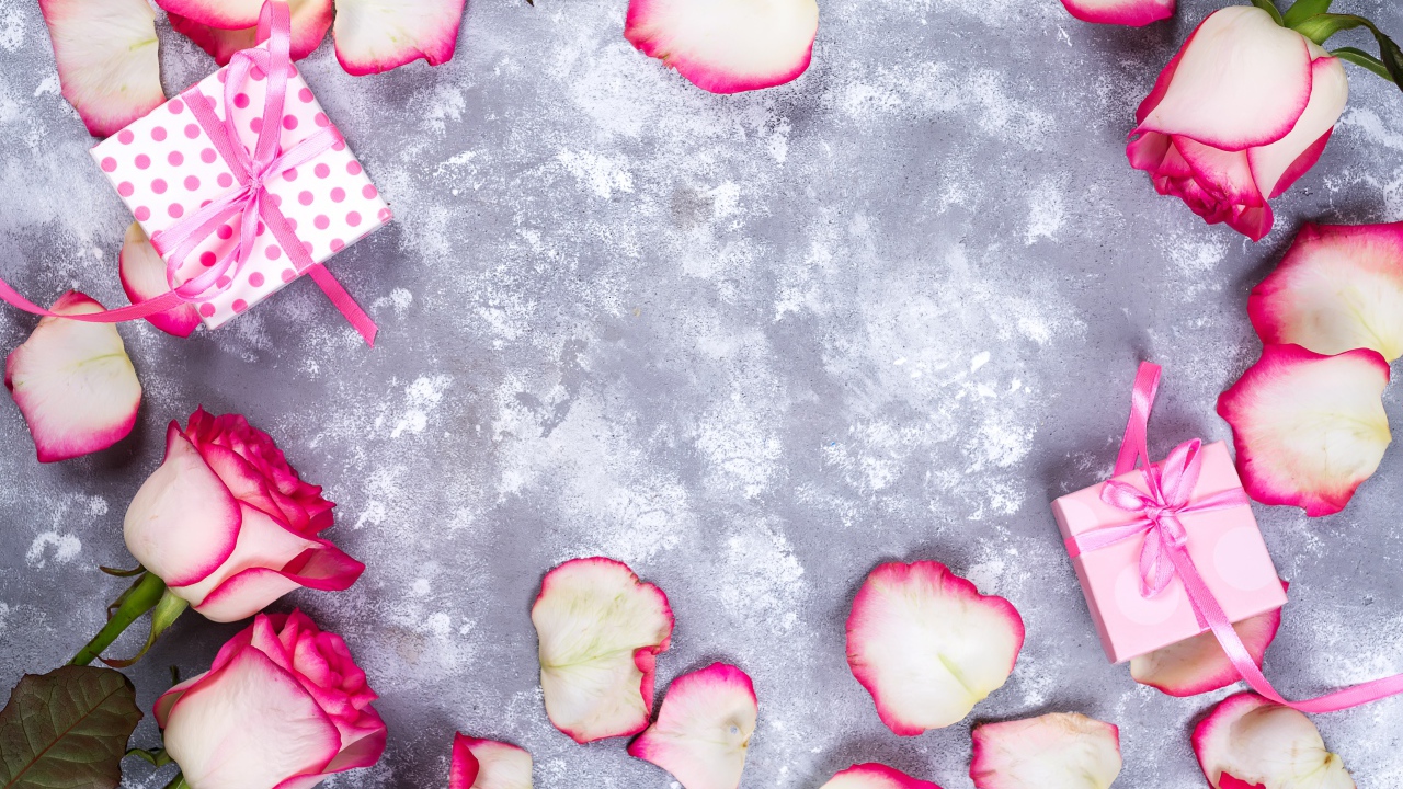 Красивые розовые розы с лепестками и подарками на сером фоне