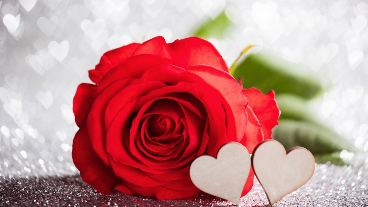 Красивая красная роза с двумя деревянными сердечками