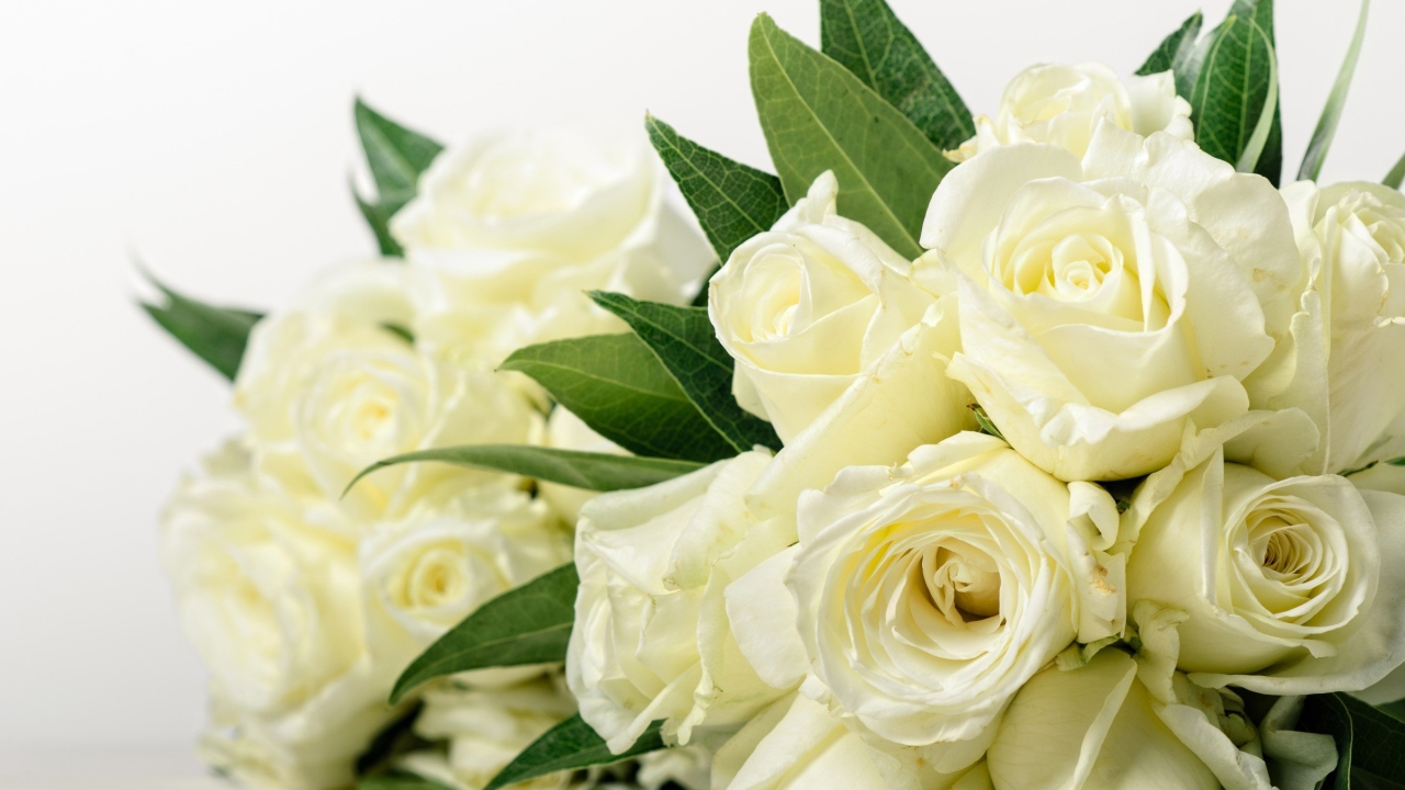 Букет красивых белых роз с зелеными листьями 