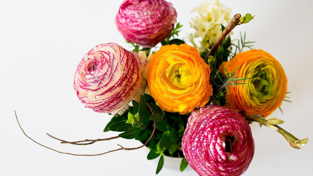 Букет разноцветных лютиков на сером фоне