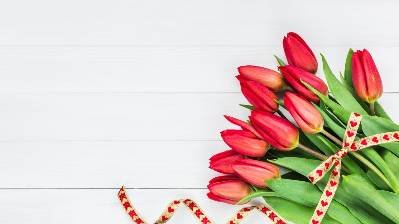 Букет красных тюльпанов с лентой на сером фоне