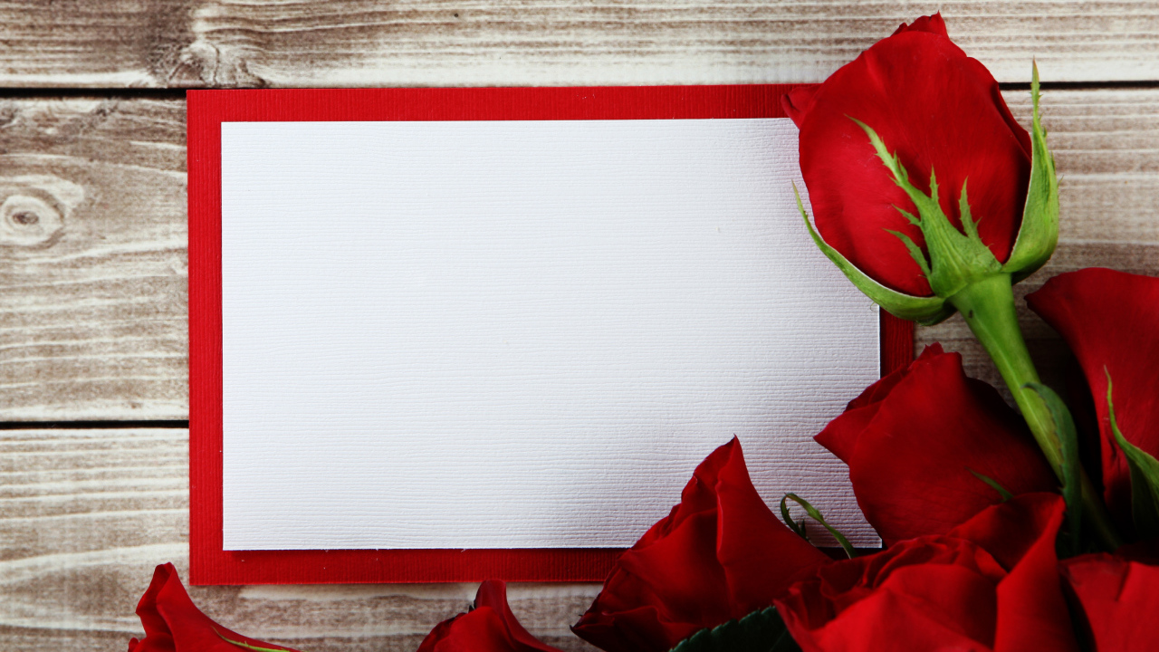 Букет роз  с листом бумаги в рамке фон для поздравительной открытки