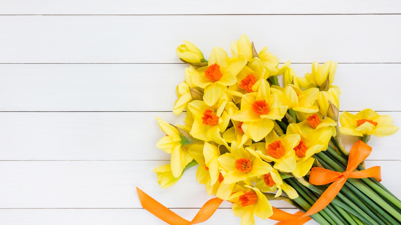 Букет желтых нарциссов с бантом на сером фоне