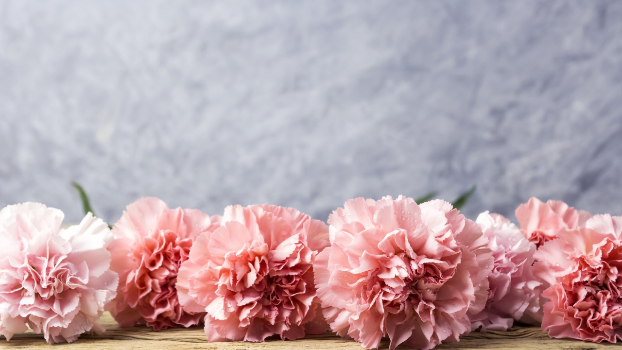 Розовые гвоздики лежат на деревянном столе