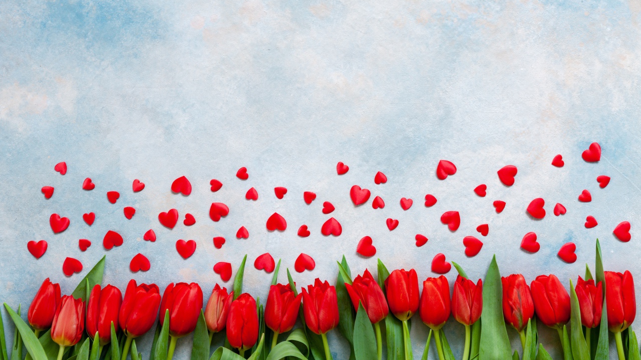 Красные тюльпаны на голубом фоне с красными сердечками