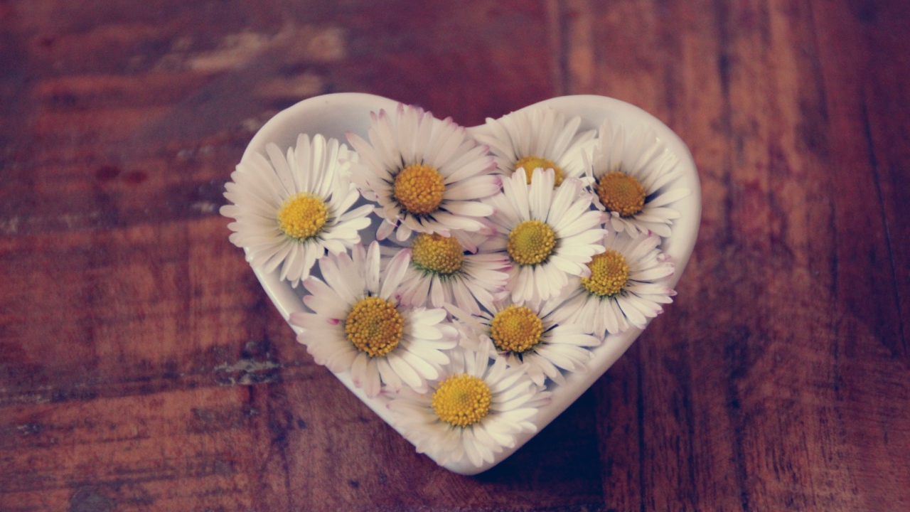 Белые ромашки в посуде в форме сердца