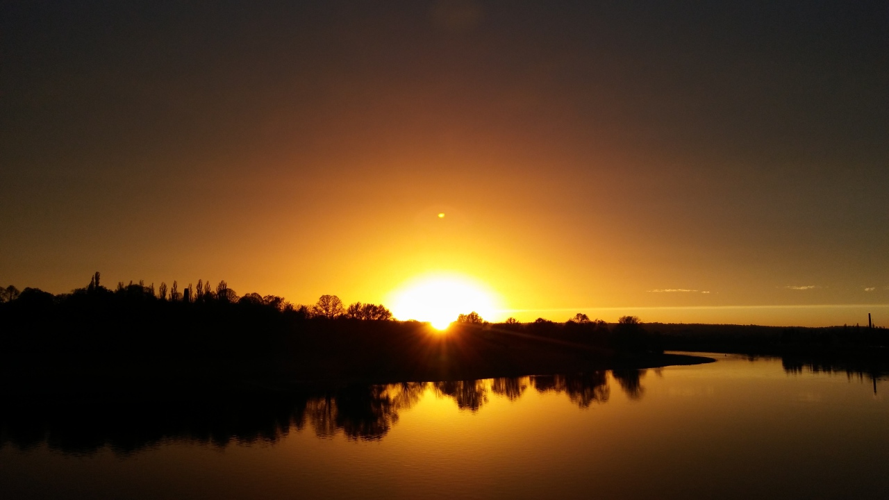 Силуэты деревьев отражаются в воде на закате солнца