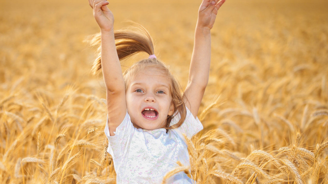 Маленькая веселая девочка в желтой пшенице