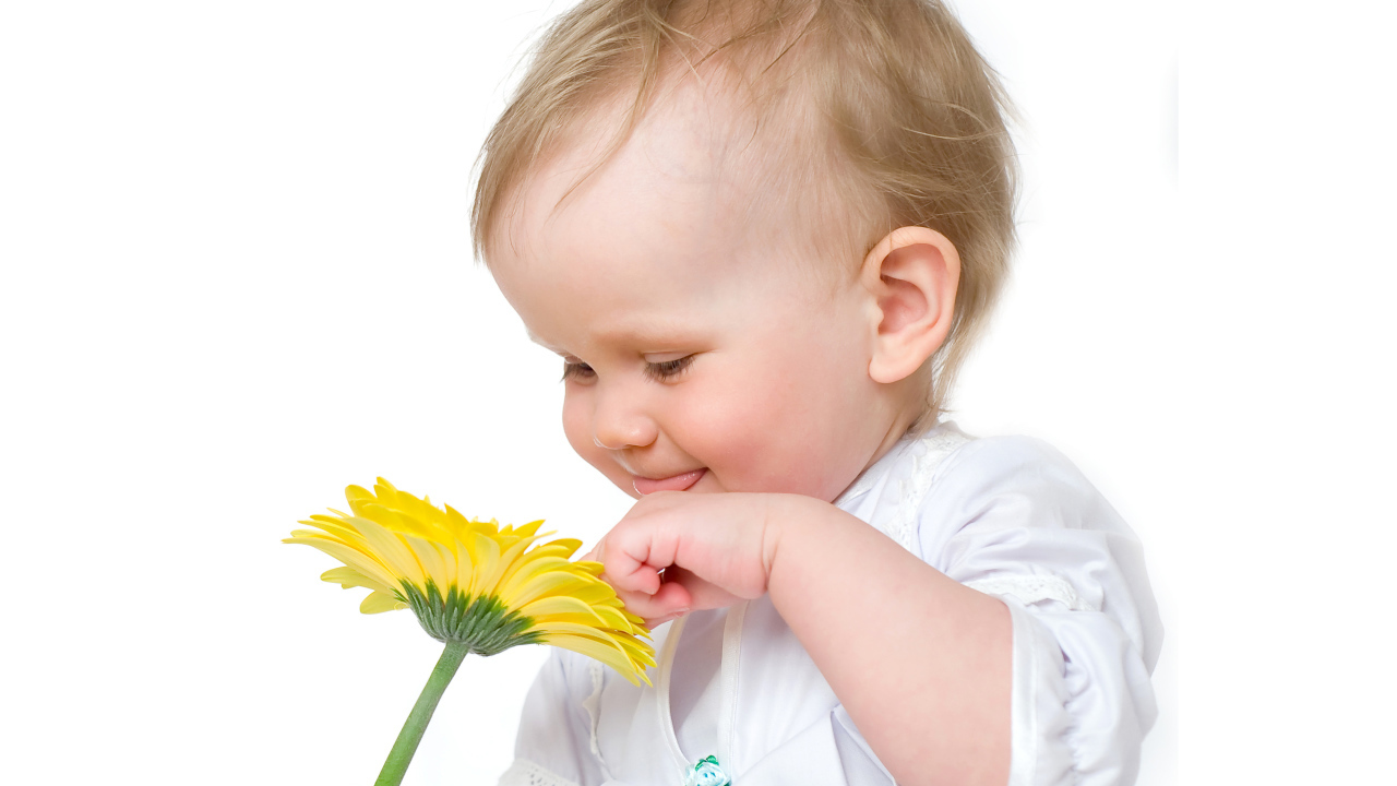 Улыбающийся малыш с желтым цветком герберы на белом фоне