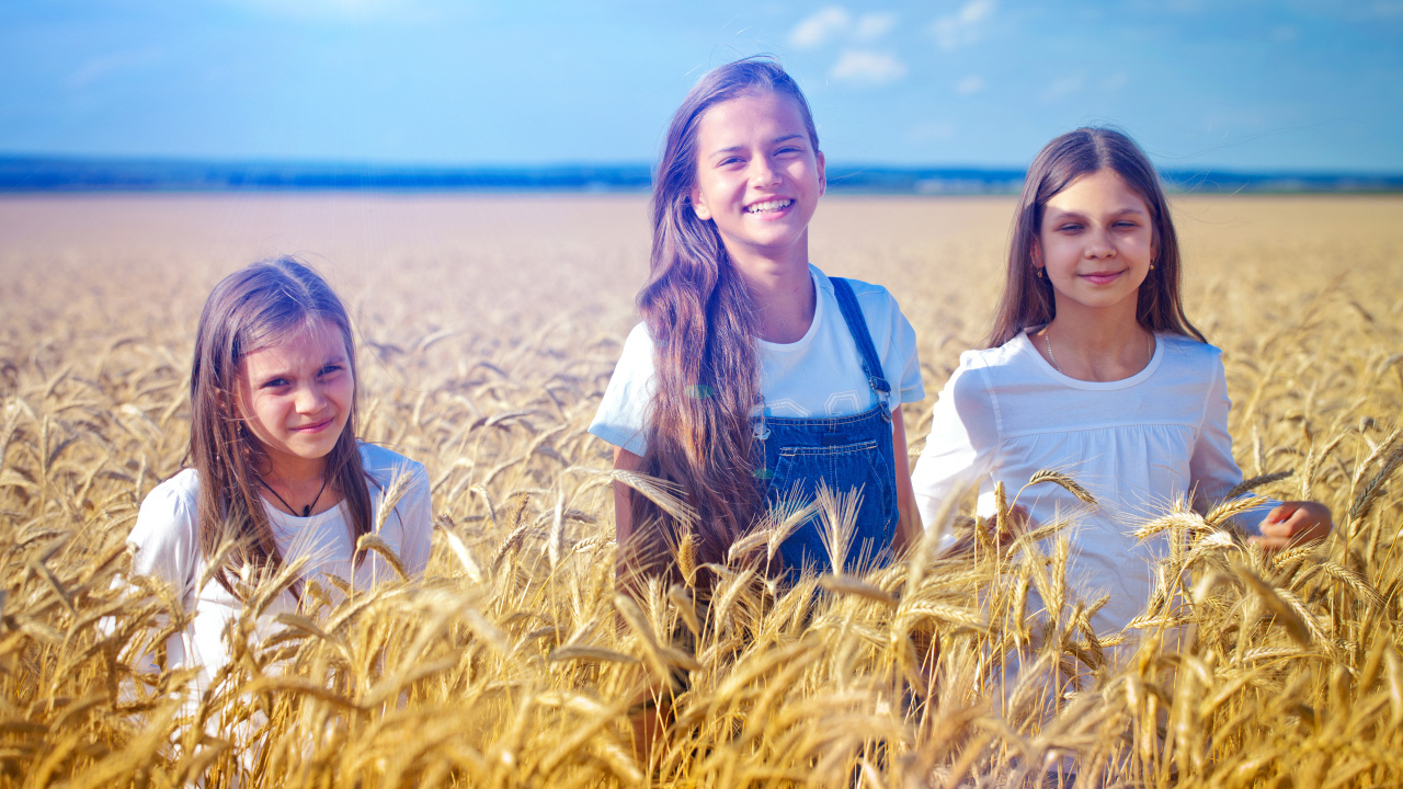 Три девочки на поле с желтой пшеницей