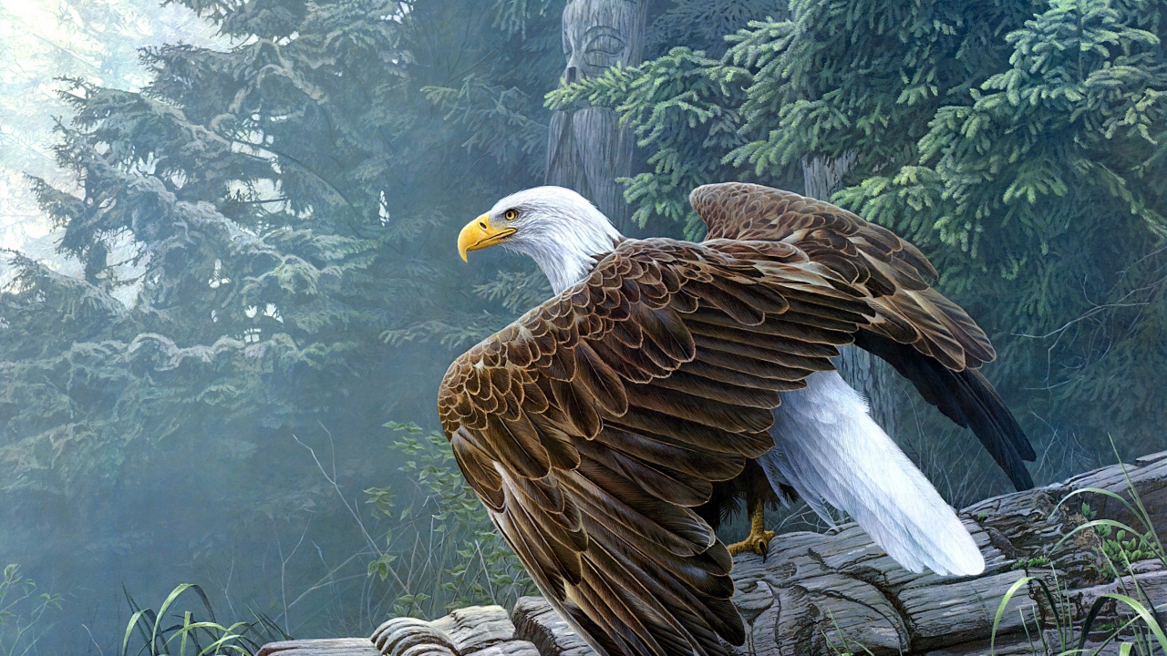 Большой белоголовый орлан сидит на столбе 