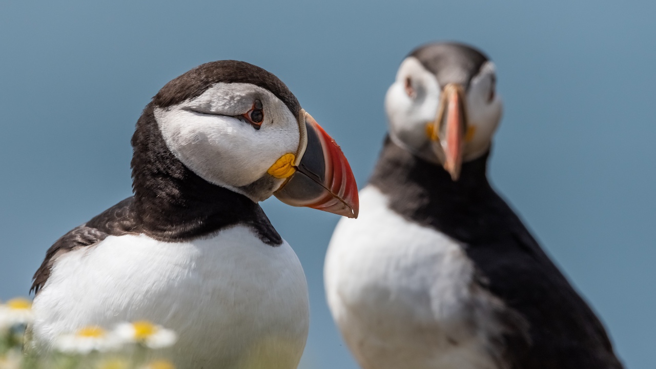 Два тупика на фоне голубого неба 