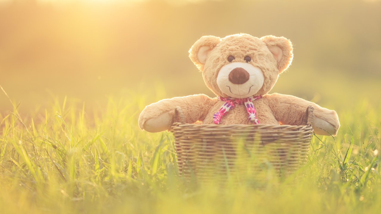 Плюшевый медведь в корзине стоит на зеленой траве